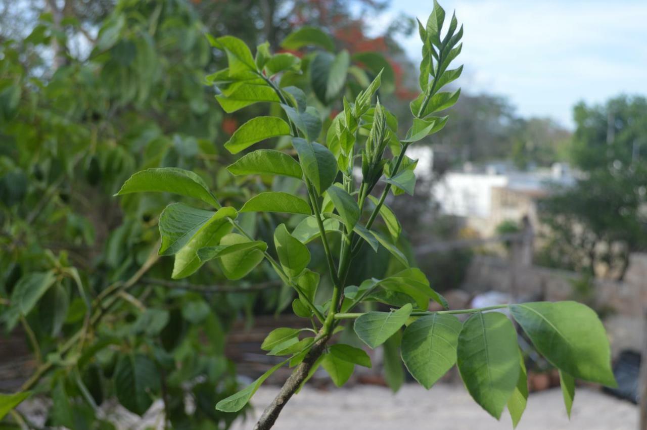 מלון ואיאדוליד Casa San Juan מראה חיצוני תמונה
